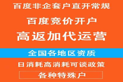 竞价推广策略：某电商平台的成功案例